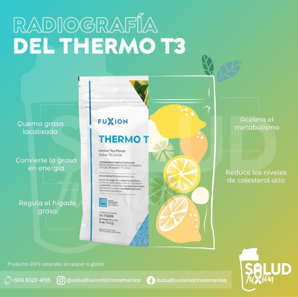 Thermo T3 por 28 sobres